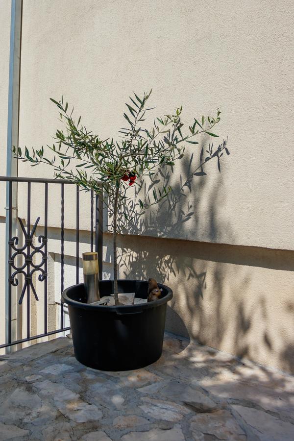 Apartmani Petar Tivat Exterior photo